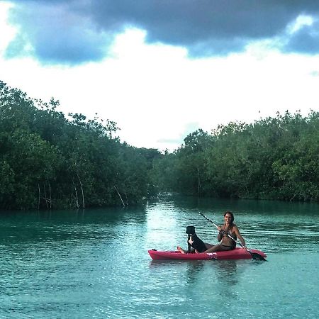 Guarumbo Bacalar Bagian luar foto