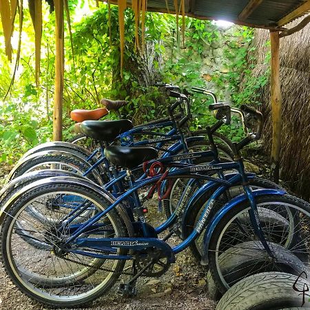 Guarumbo Bacalar Bagian luar foto